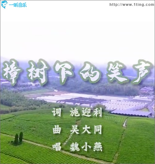 樟樹下的笑聲 （單曲）