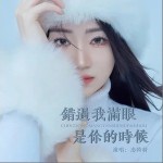 錯過我滿眼是你的時候 （單曲）詳情