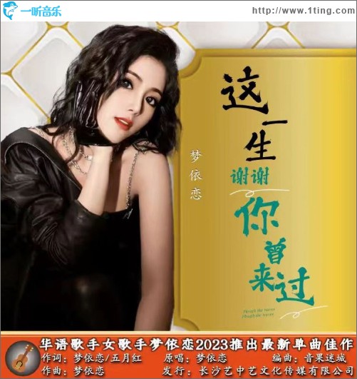 這一生謝謝你曾來過 （單曲）