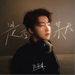 是否某天 （單曲）詳情