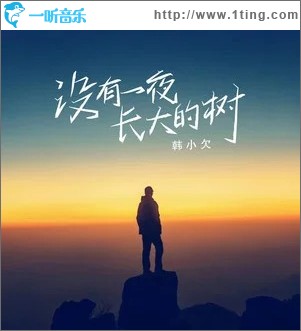沒有一夜長大的樹 （單曲）