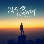 沒有一夜長大的樹 （單曲）詳情