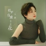 假如玫瑰不是花 （單曲）詳情