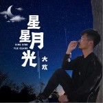 星星月光 （單曲）詳情