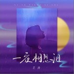 一夜相思淚 （單曲）詳情