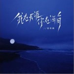 我在天涯你在海角 （單曲）詳情
