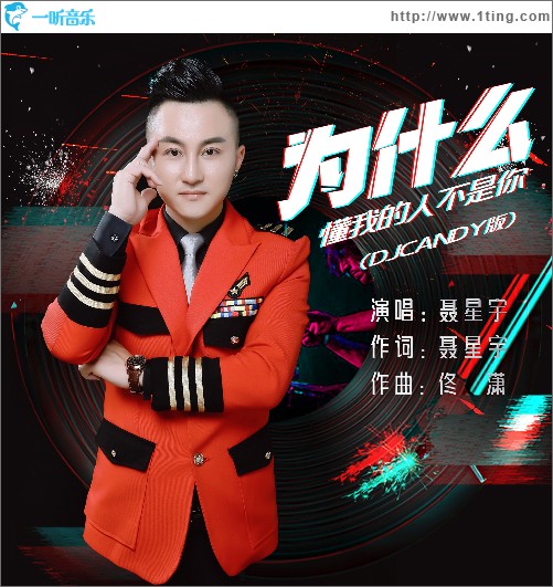 為什么懂我的人不是你(DJCandy版)（單曲）