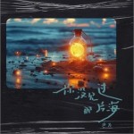 你沒見過那片海 （單曲）詳情