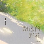 路過的野花（單曲）詳情