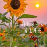 向日葵不會愛上月亮（單曲）詳情