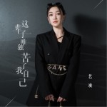 這輩子唯獨苦了我自己（單曲）詳情