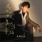 希望你下次哭是因為太幸福(彈唱版)（單曲）詳情