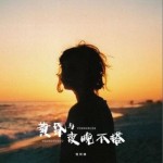 黃昏與夜晚不搭（單曲）詳情