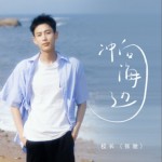 沖向海邊（單曲）詳情