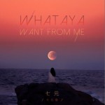 Whataya Want from Me(七元版)（單曲）詳情