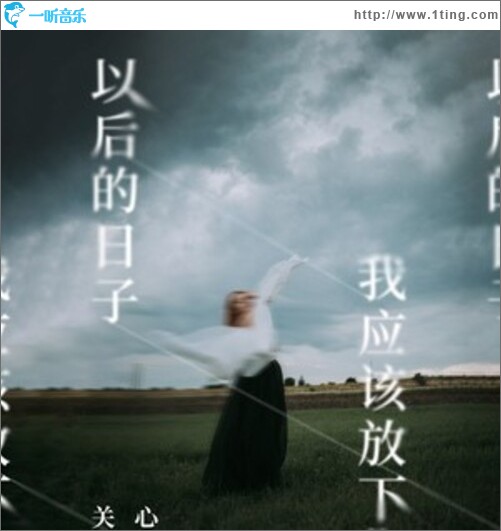 以后的日子我應該放下你（單曲）