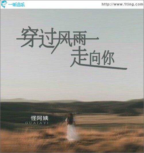 穿過風雨走向你（單曲）