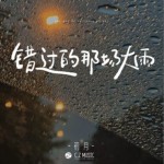 錯過的那場大雨（單曲）詳情