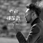 四面桃花香（單曲）詳情