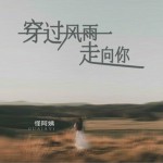 穿過風雨走向你（單曲）詳情
