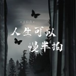 人生可以慢半拍（單曲）詳情