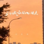 這個城市的風好大（單曲）詳情