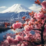 后來的你（單曲）詳情
