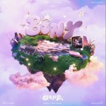 彼尼的歌（單曲）詳情