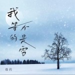 我等的不是雪（單曲）詳情
