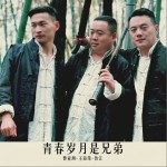青春歲月是兄弟（單曲）試聽