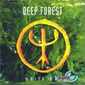 A Walk In The Forest