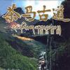 純音樂 序曲 遠去的回聲 試聽