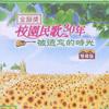 雜錦合輯7 陽光和小雨 - 潘安邦 試聽