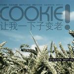 讓我一下子變老 (宣傳版)詳情