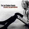 The Last Shadow Puppets The Meeting Place 試聽