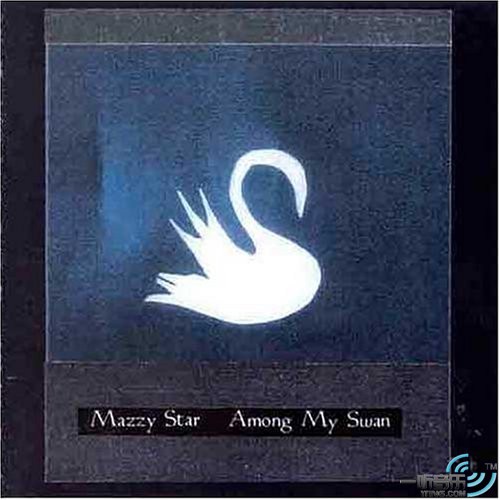 Among My Swan
