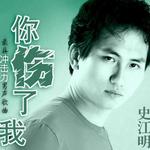 你傷了我 (宣傳版)詳情