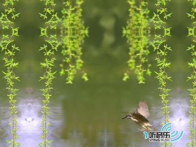 大陸單曲 8YH-1107