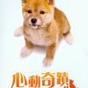 久石譲 故鄉 試聽