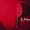 The Subways With You 試聽
