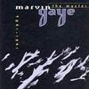 Marvin Gaye You're Wonderful - (previously unreleased) 試聽