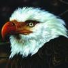 Mogwai I'm Jim Morrison, I'm Dead 試聽