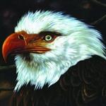 The Hawk Is Howling