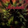 Morcheeba Moog Island 試聽
