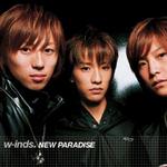 NEW PARADISE詳情
