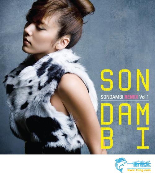 Son Dam Bi Remix Vol. 1