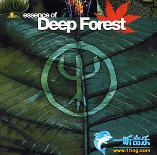 Essence of Deep Forest