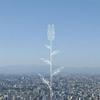 コブクロ(可苦可樂) 蕾 試聽