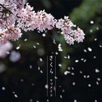 日本公信榜2005年百大單曲