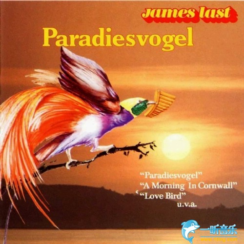 Paradiesvogel 天堂鳥